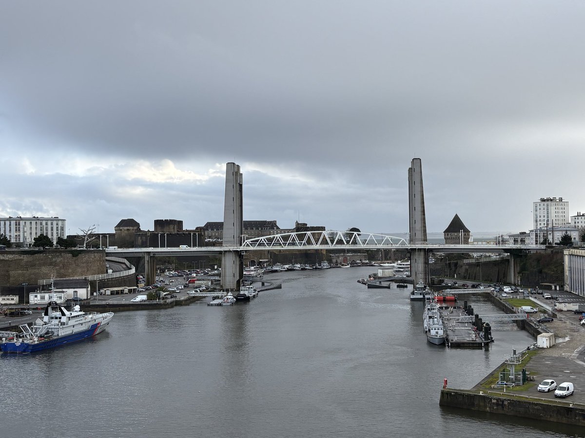 Marie-Laure Croguennec tweet media