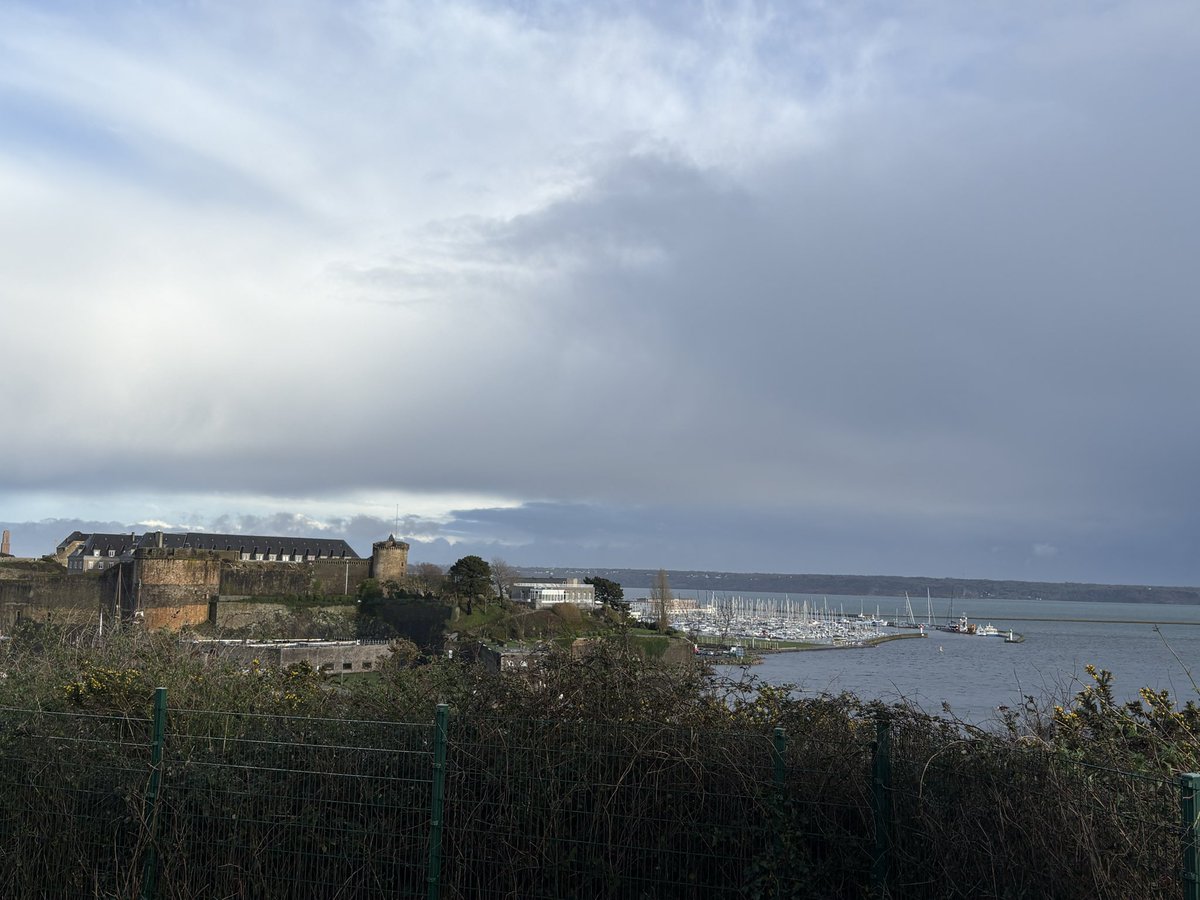 Marie-Laure Croguennec tweet media