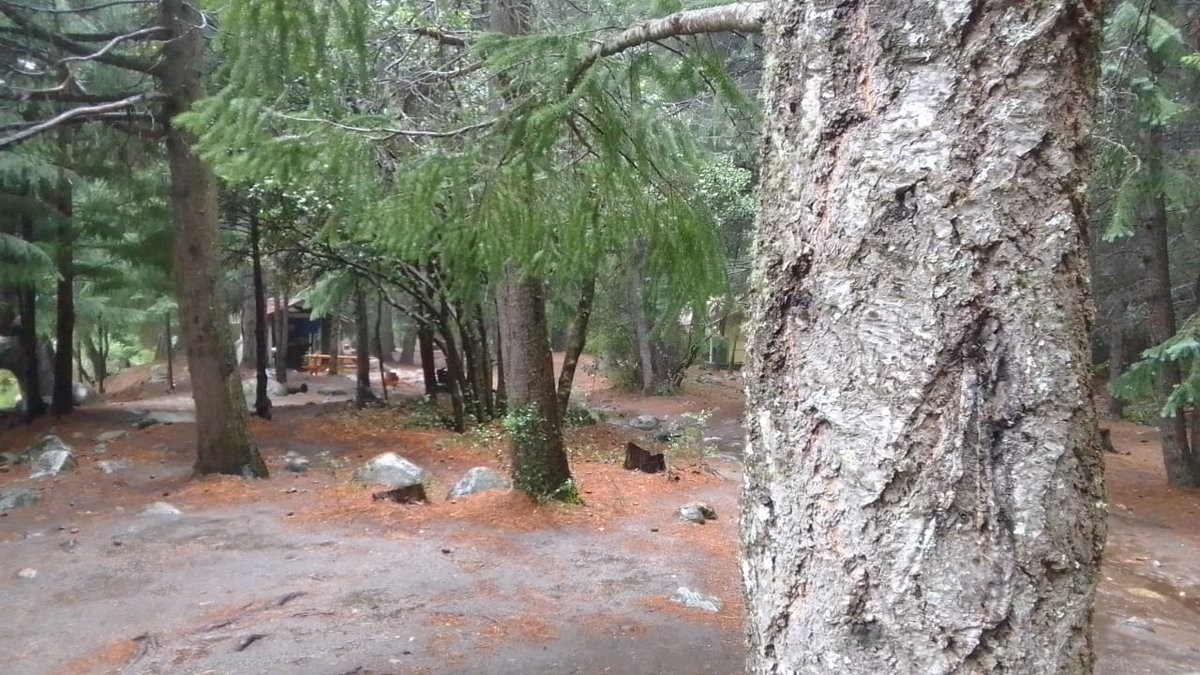 damiandresc's tweet photo. Vida de Campamento con Lucas en Bariloche https://t.co/q6IT6GigXL