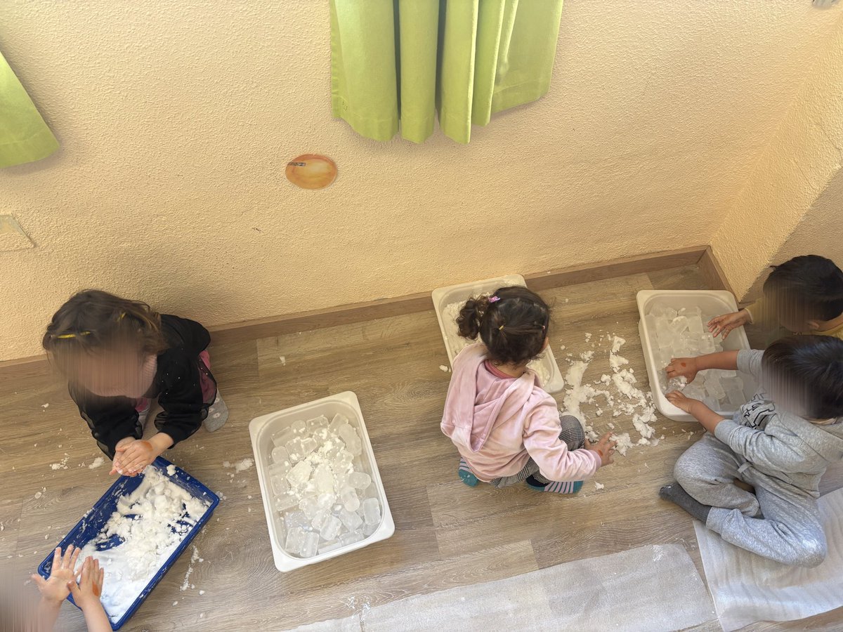 CEIP Claudio Sánchez Albornoz (Alcorcón) tweet media