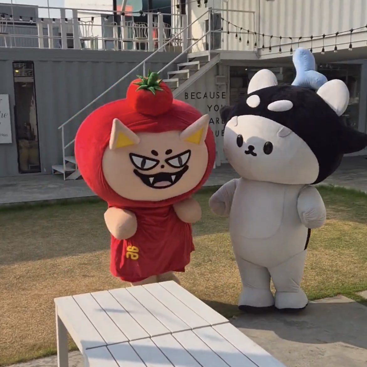 อินเตอบอกเหมือน devil &amp; angel 🤣
55555555555555555555555555555555555555555555555555555555