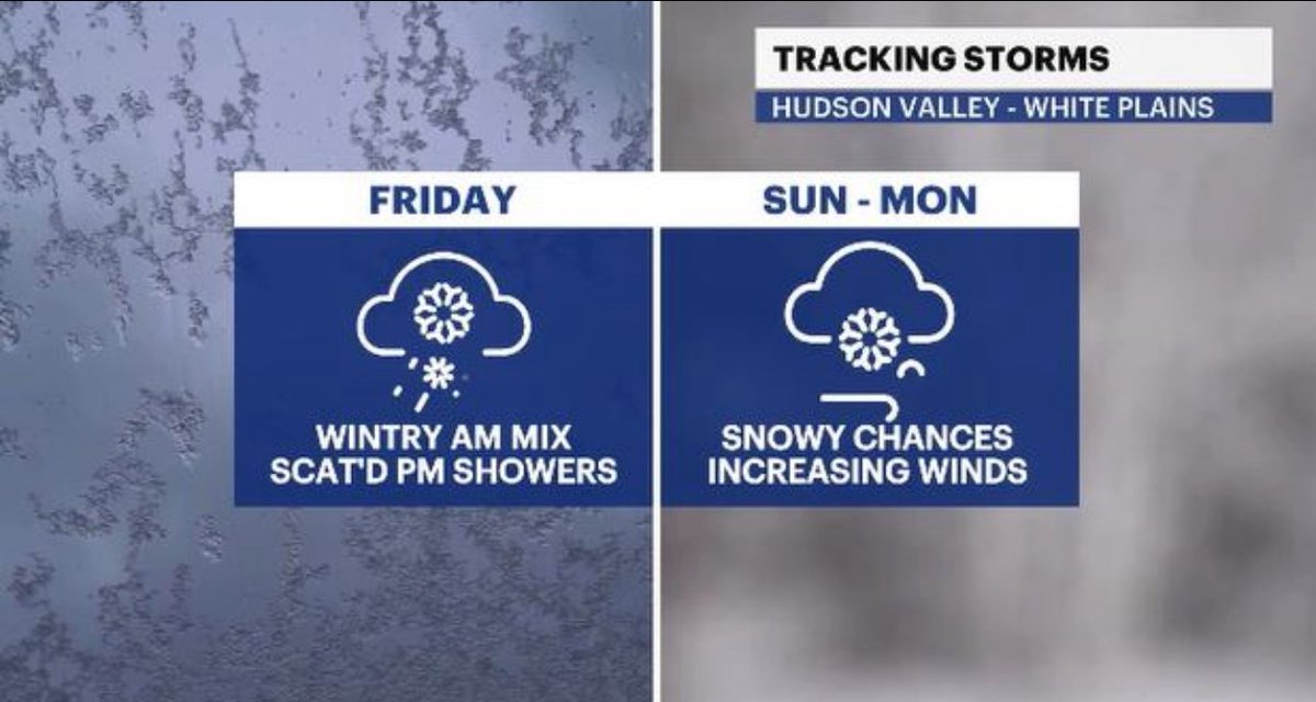 Addison Green tweet media