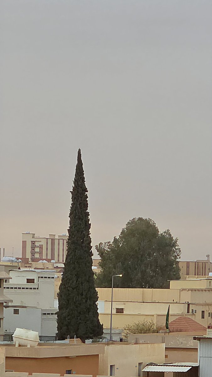 سبحان الله والحمد لله ولا إله إلا الله والله أكبر