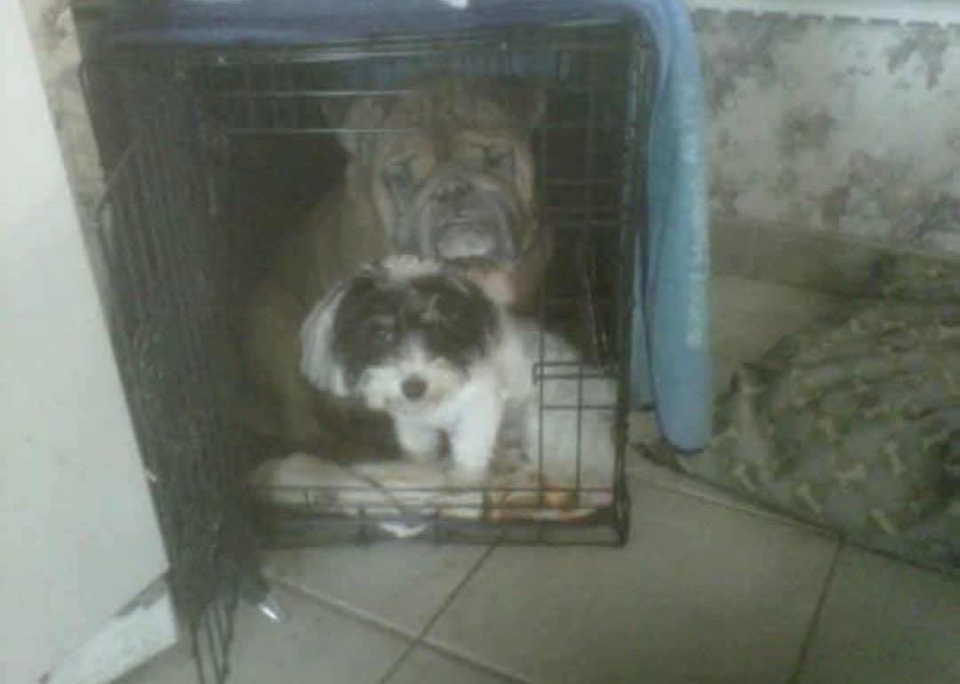 DAY Pubs tweet media