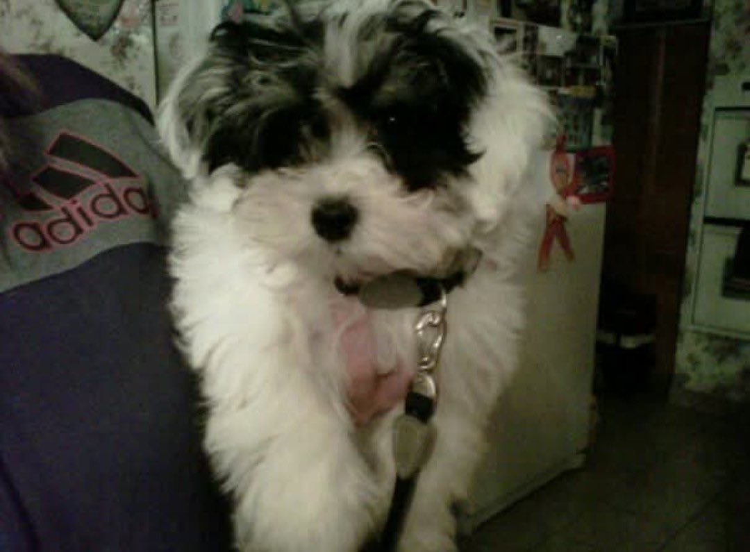 DAY Pubs tweet media