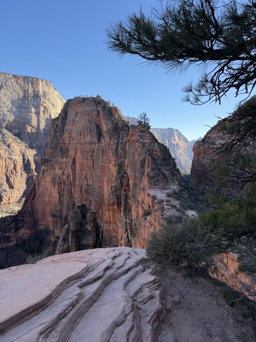 Candice Heart 50% off on OF tweet media