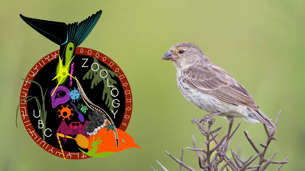 UBC Science tweet media