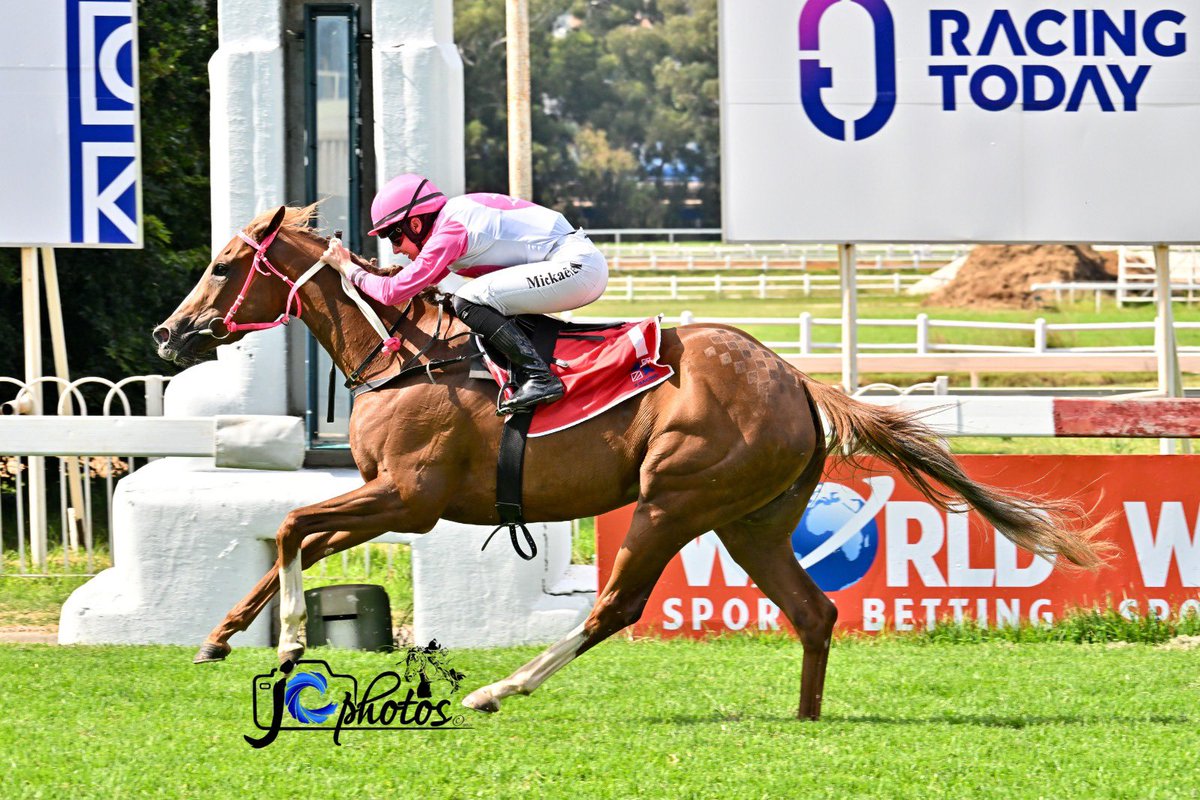 Frederic Spanu Racing tweet media