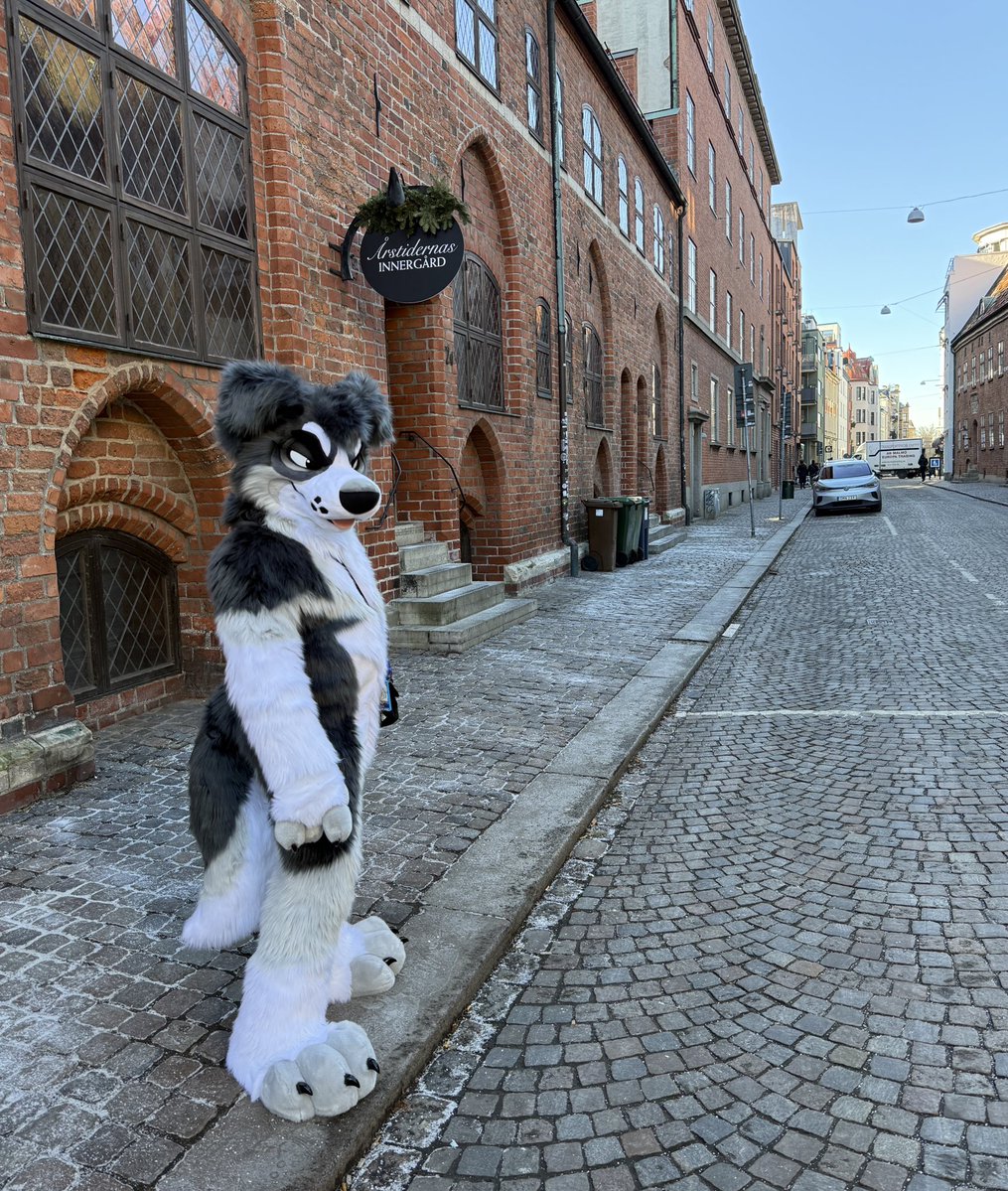 Val / LatinVixen tweet media