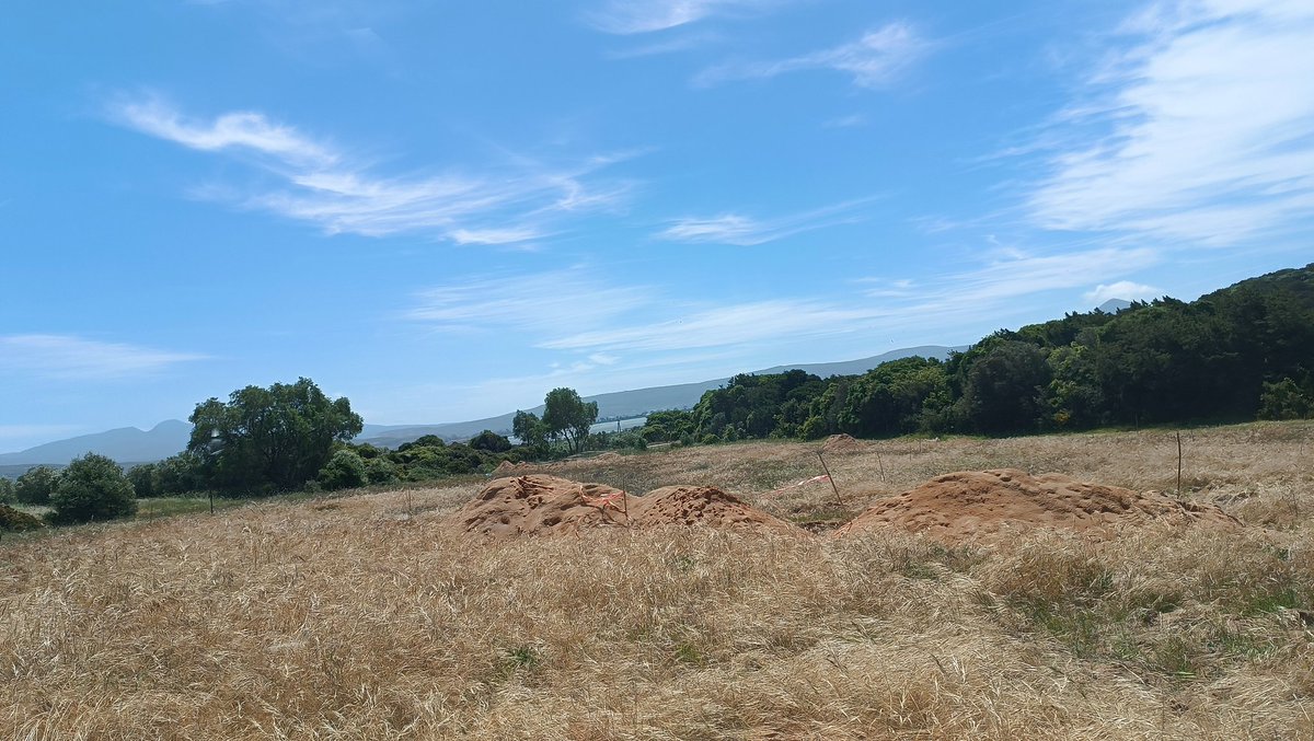 the_one_who_knocks tweet media