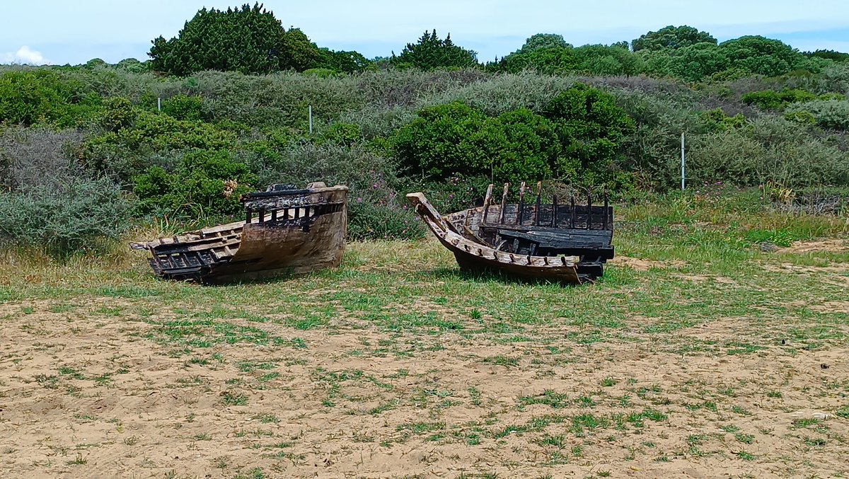 the_one_who_knocks tweet media