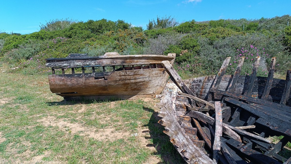 the_one_who_knocks tweet media