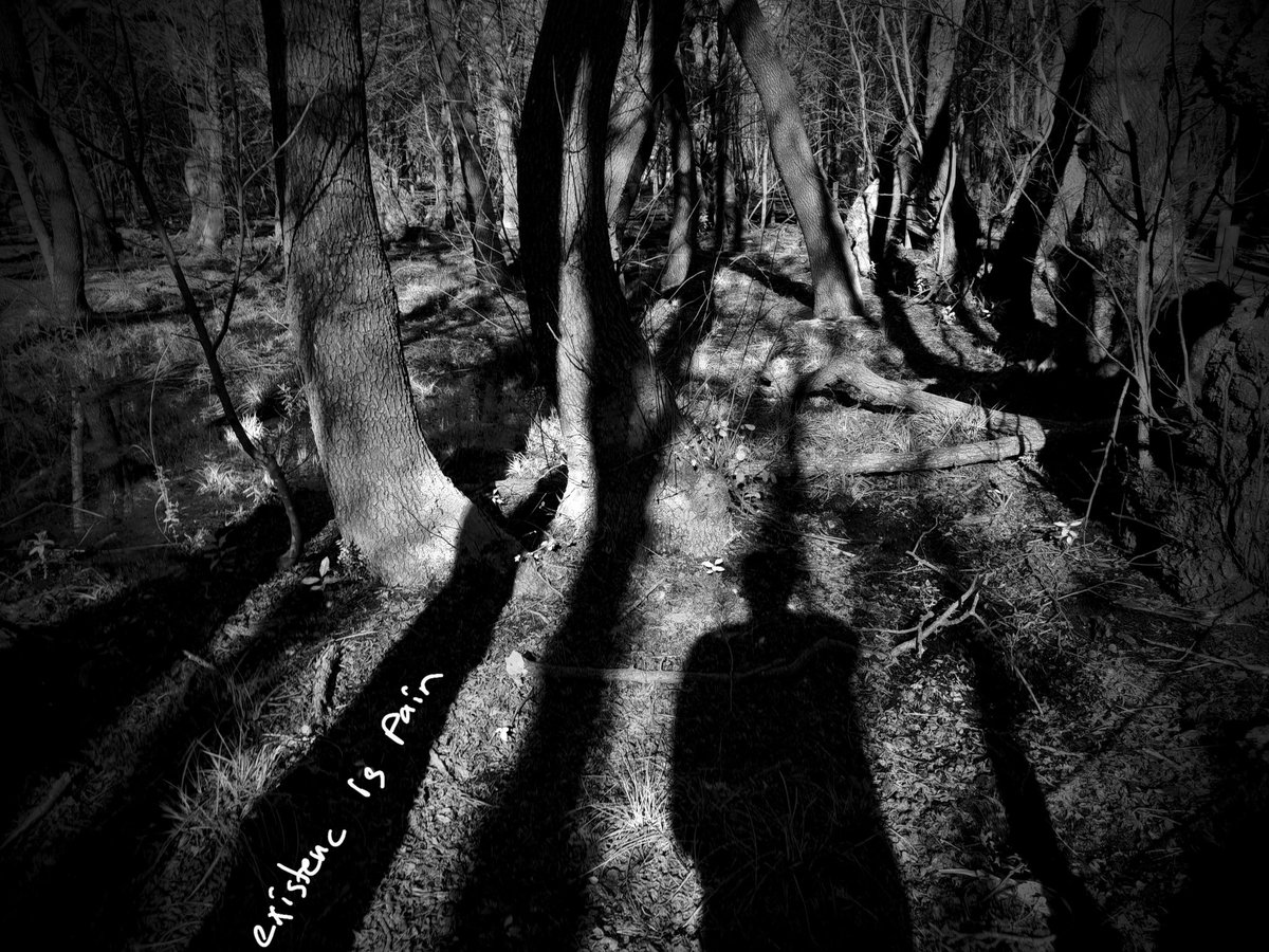 Görkem Keser tweet media