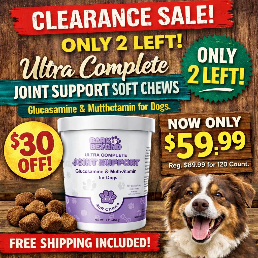 Bark & Beyond®️🇺🇸 tweet media