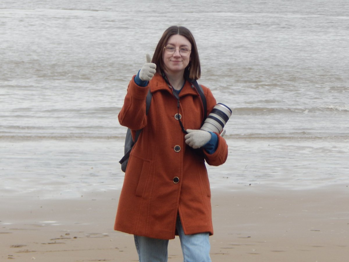 katie ♛ tweet media