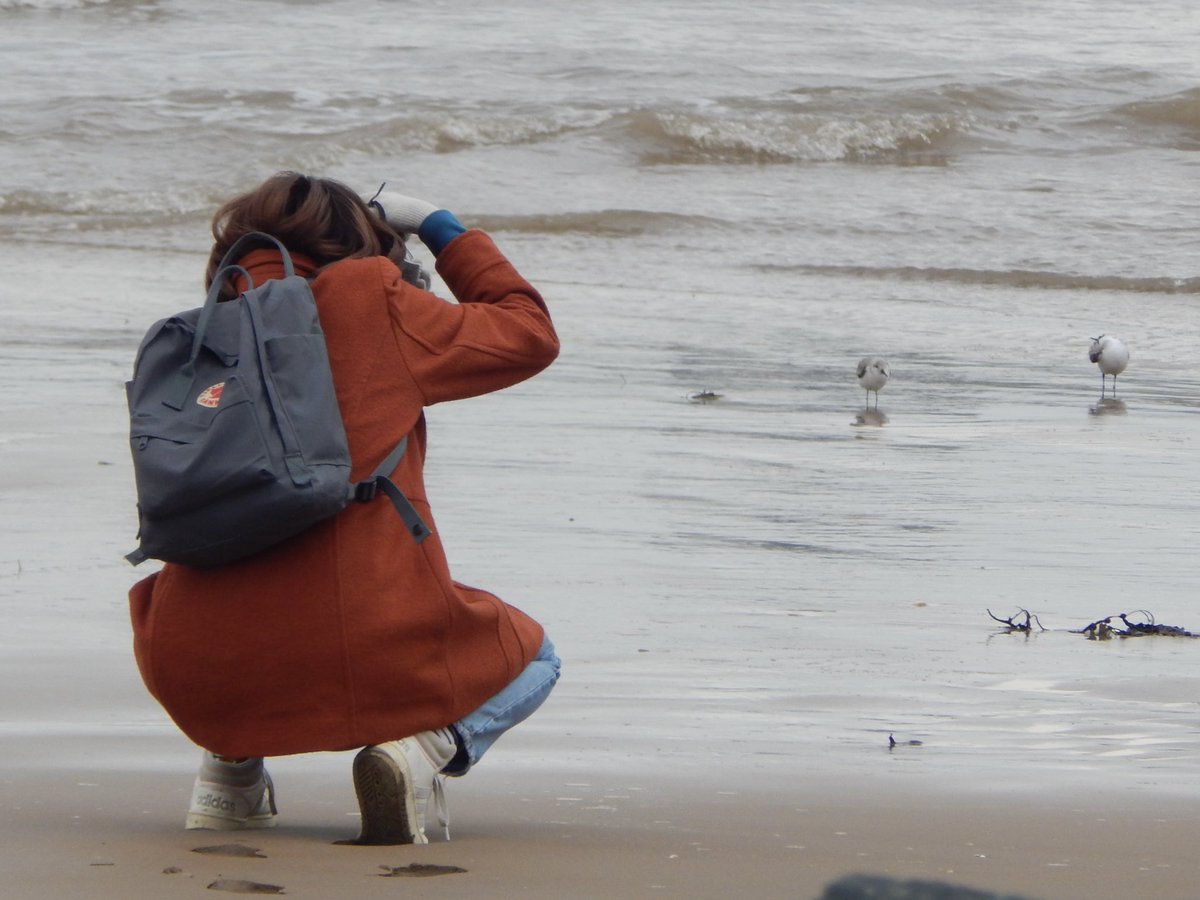 katie ♛ tweet media