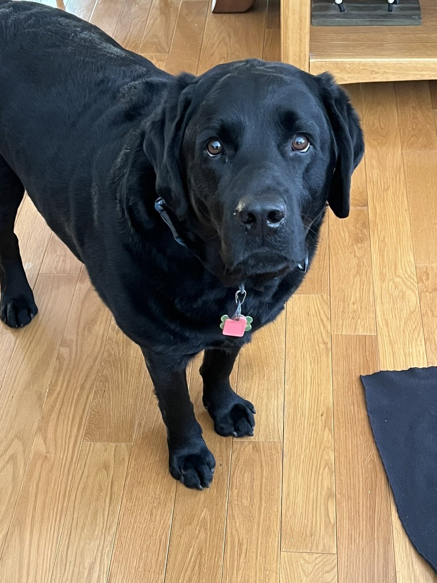 Hello. Is it me you’re looking for?