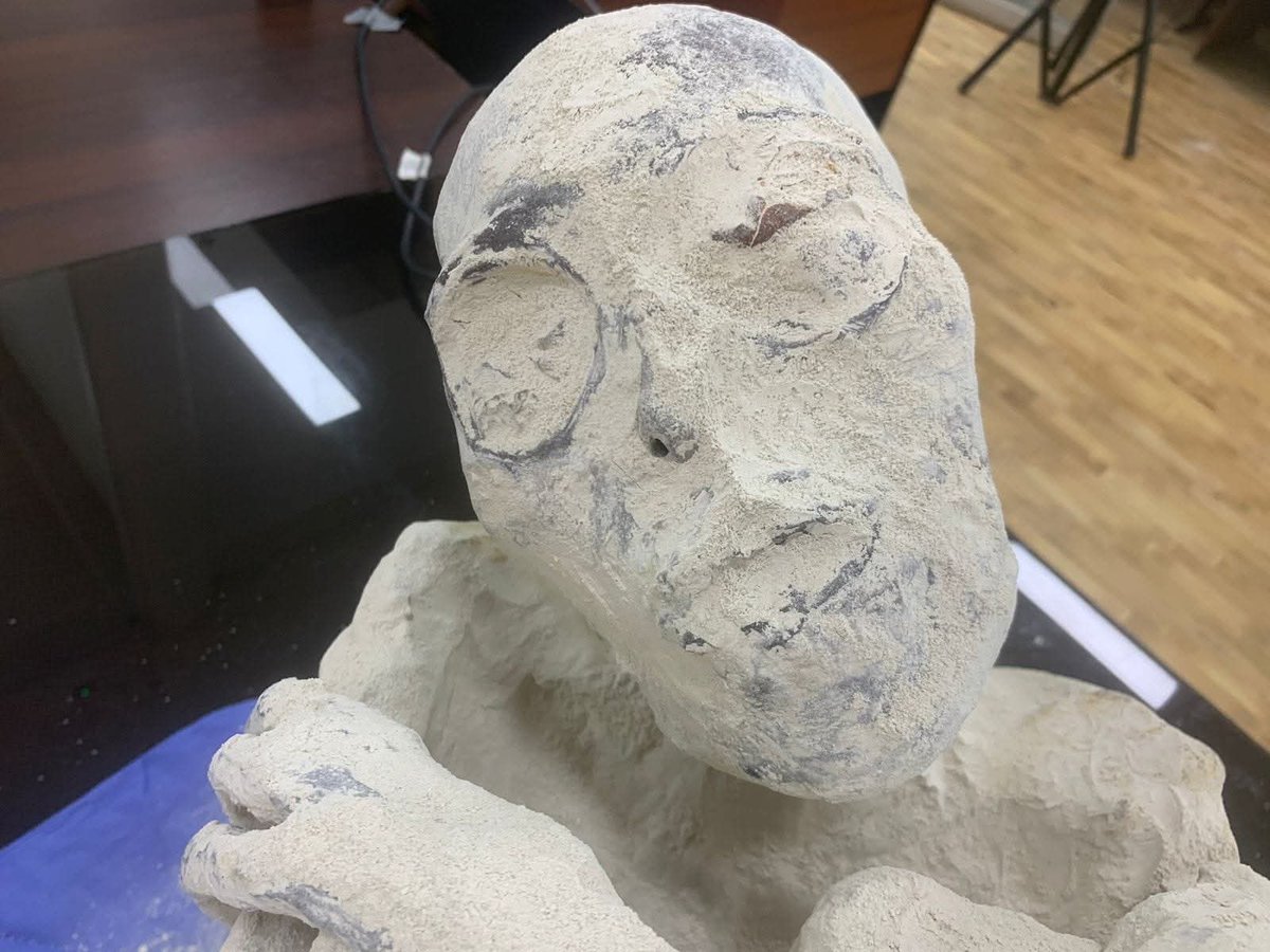 Gonzalo Chavez tweet media