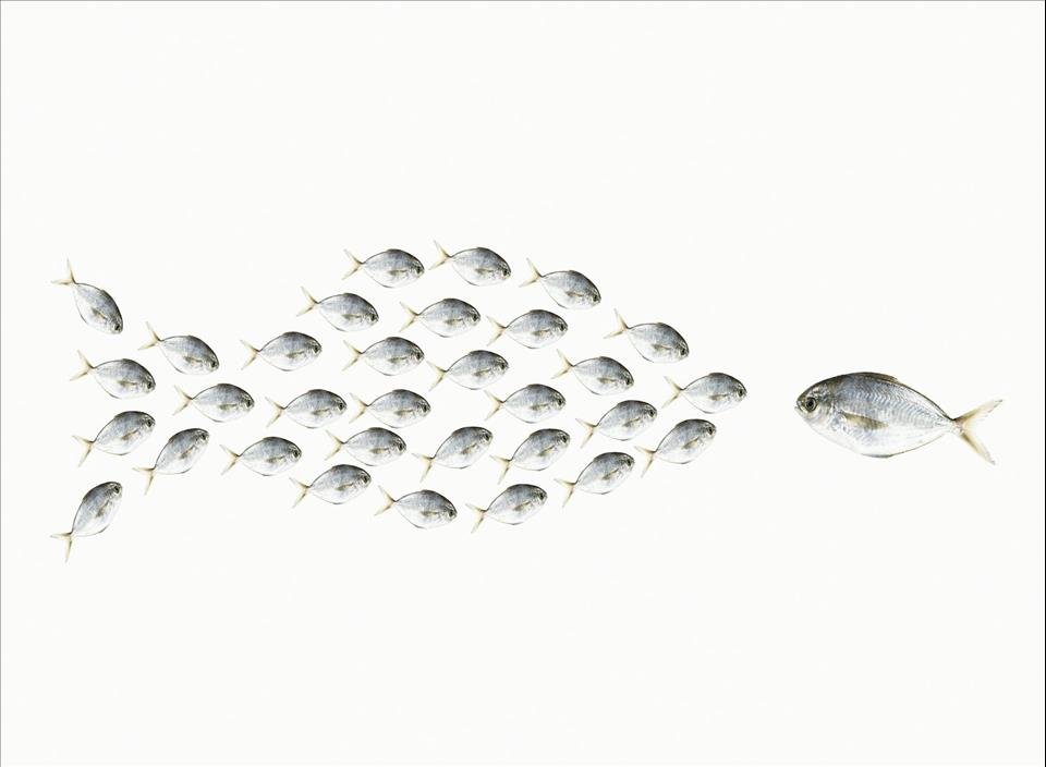 MENAFN's tweet image. 'Learning To Be Humble Meant Taming My Need To Stand Out From The Group' A Humility Scholar Explains How He Became More Grounded #'Learning #Humble #Meant #Taming #Need #Stand #Group' #Humility #Scholar #Explains #Became #More #Grounded #School… dlvr.it/TR3KSg