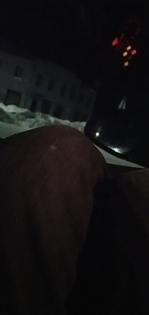 Edgars Aleksandrovs tweet media