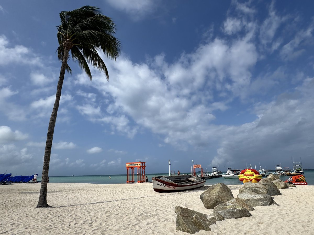 mostaccioli_'s tweet photo. Back for the annual Natoli visit to Aruba 🇦🇼 ���️ ☀️ https://t.co/74Blick3AN