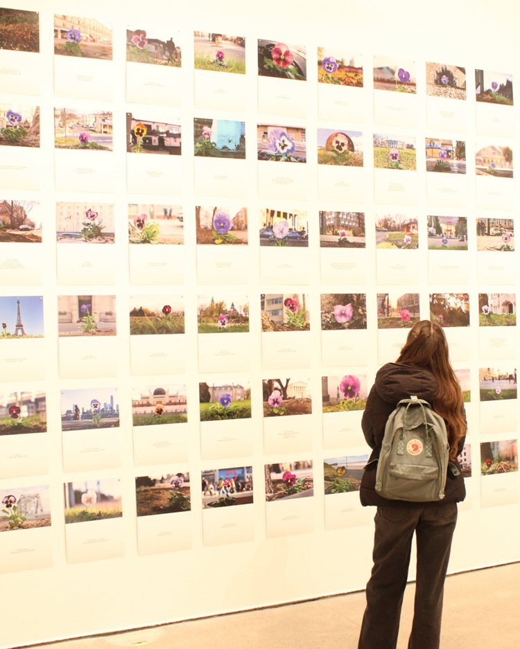 Ron Dearing UTC tweet media