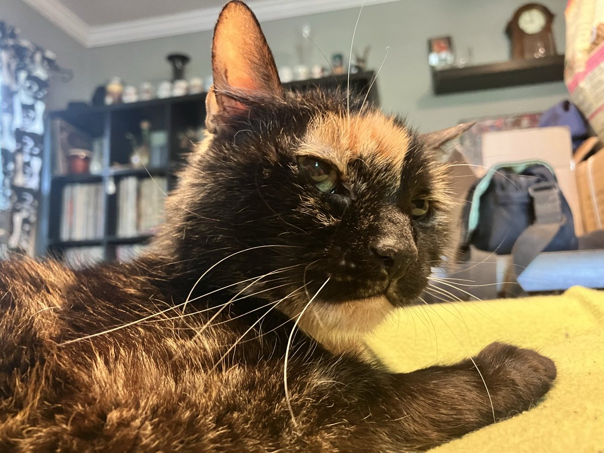 Tank_Gates tweet media