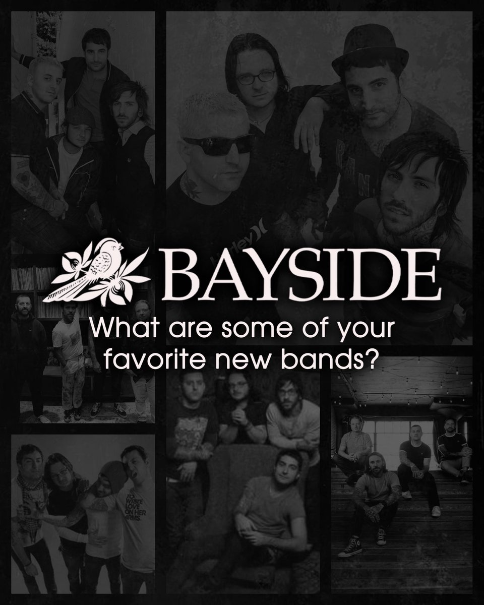 Bayside tweet media