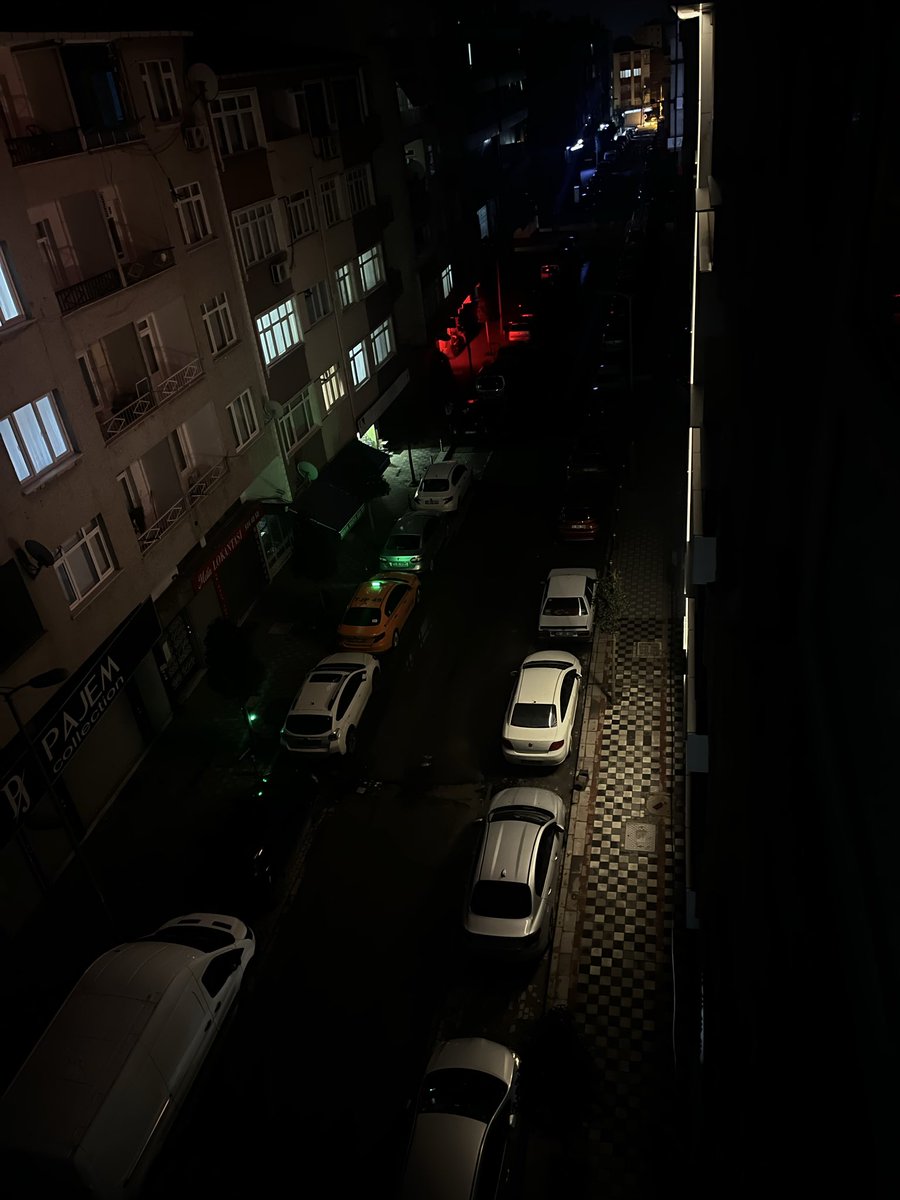 Halise Berre Beşir tweet media