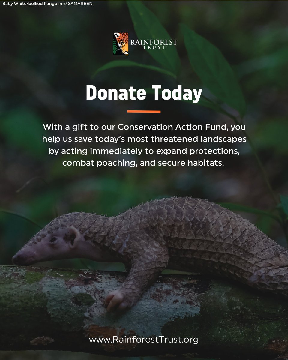 Rainforest Trust tweet media