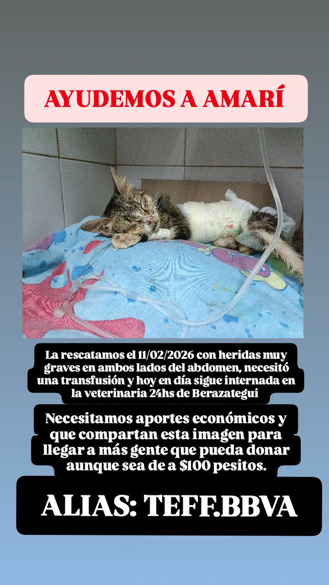 Σ𖼞₮₮ ꓘ𖼮ⵇ 🇦🇷 tweet media