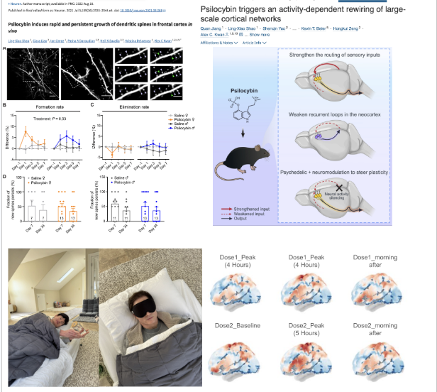 Bryan Johnson tweet media