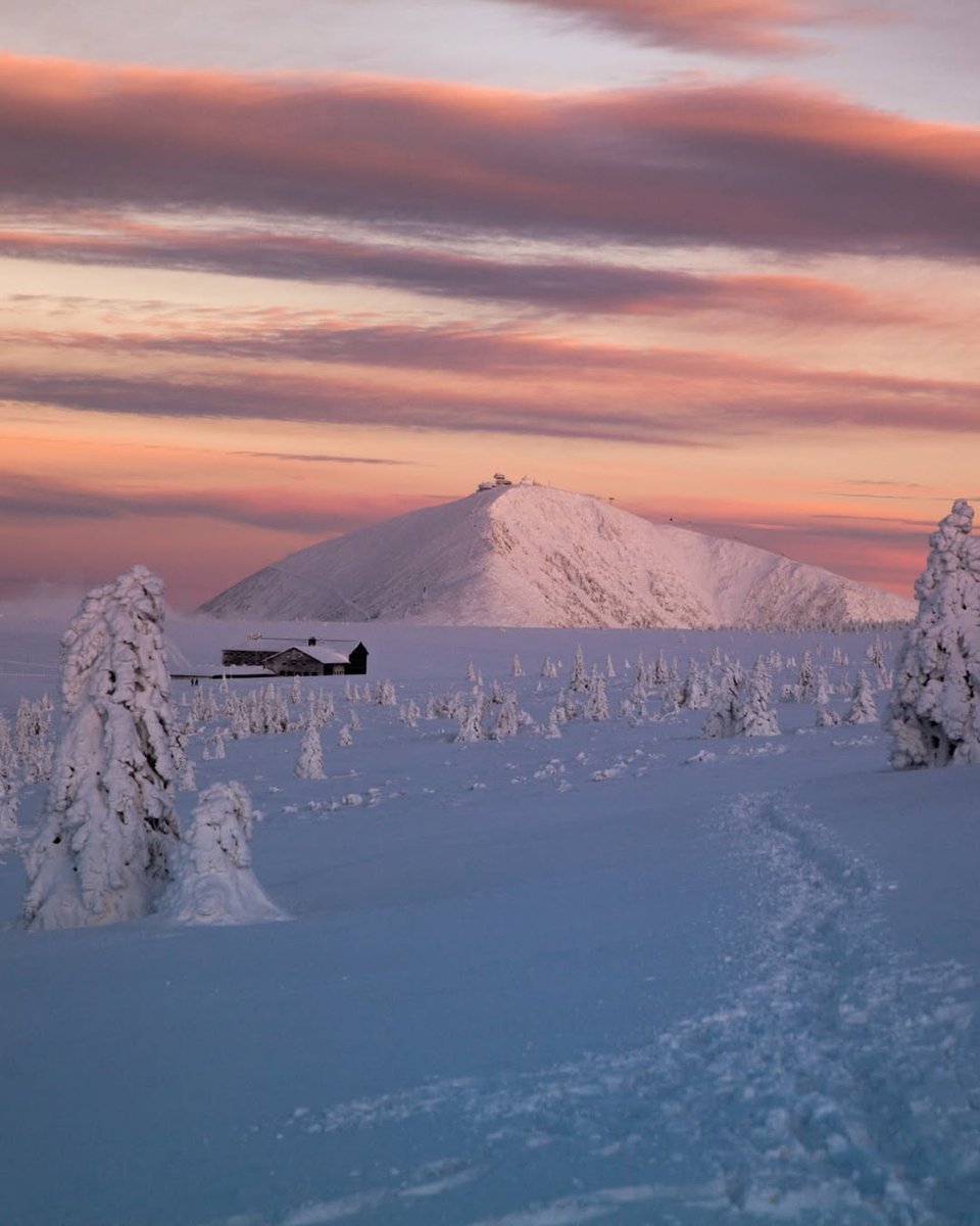Visit Czechia tweet media