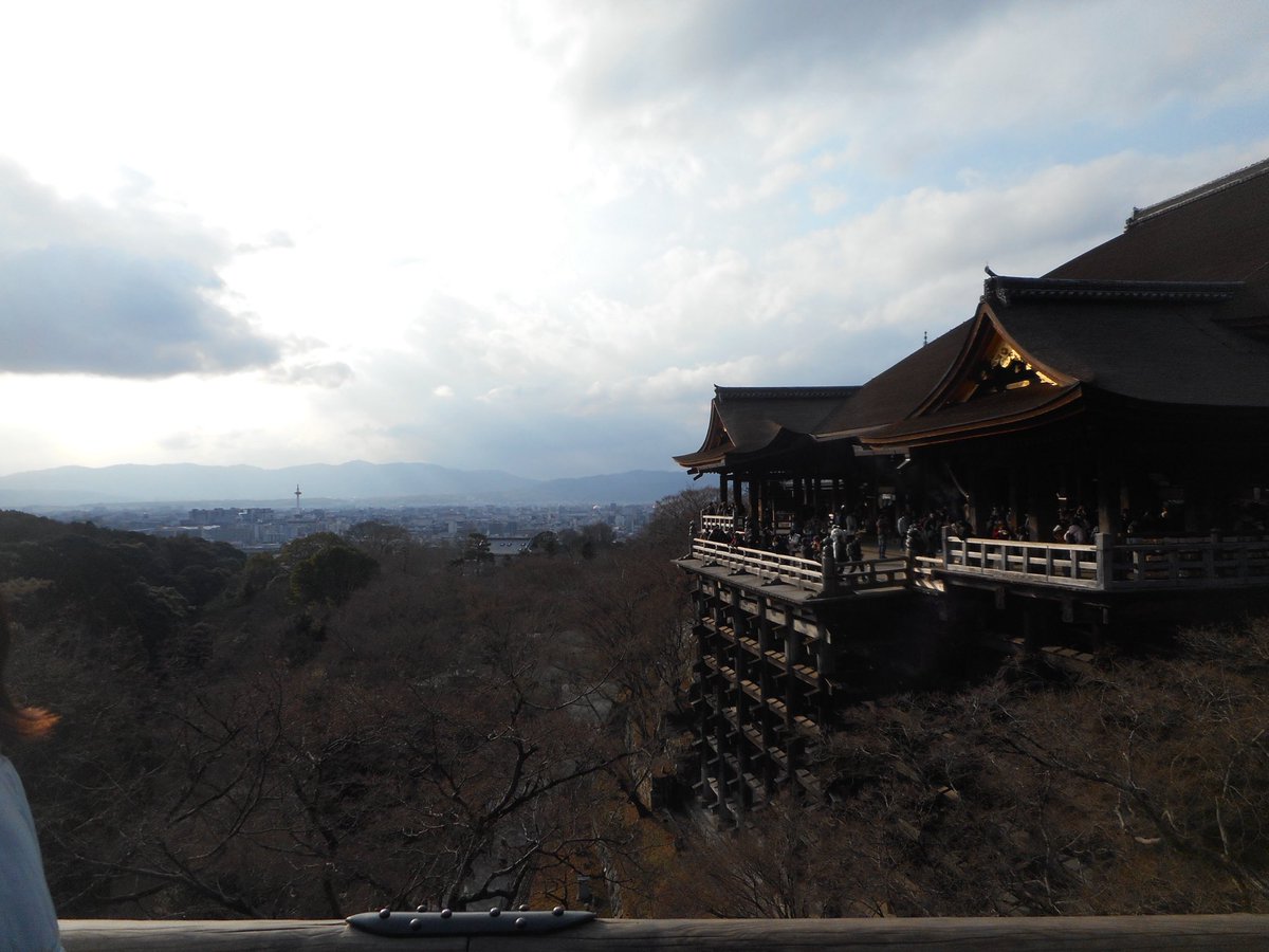 京都ありがとう。木屋町の優しいおじさん妖精たち、奢ってくれてありがとう。