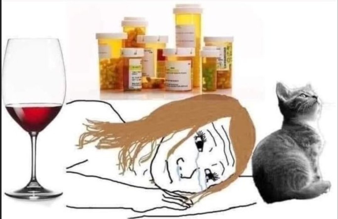 BIGHumanCubus tweet media