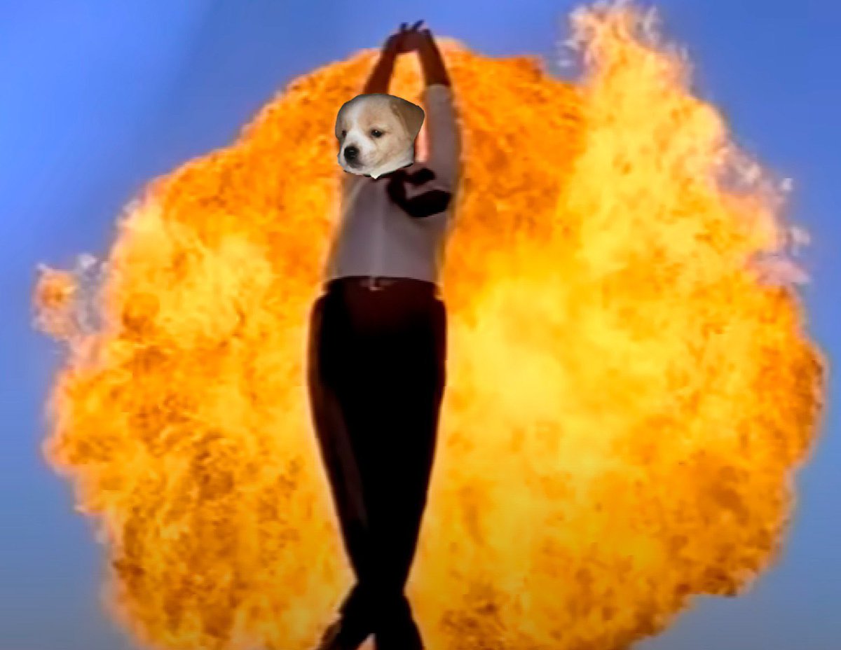 A pesar de que el mercado este en el piso seguimos trabajando en el $doggy

PPDALVC

La mejor comunidad de Latam por mucho!