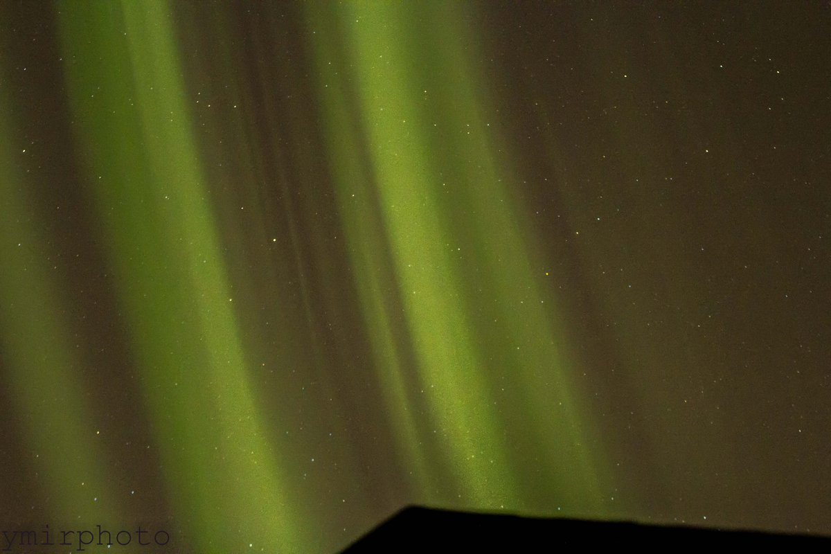 theauroraguy's tweet image. From the archives this day 20140219T0700Z
Calgary (downtown) Alberta
I was actually shooting the Elephant Trunk Nebula, when the aurora started ruining my subs, I looked overhead and saw the aurora.  #Aurora #Auroraborealis #Northernlights
