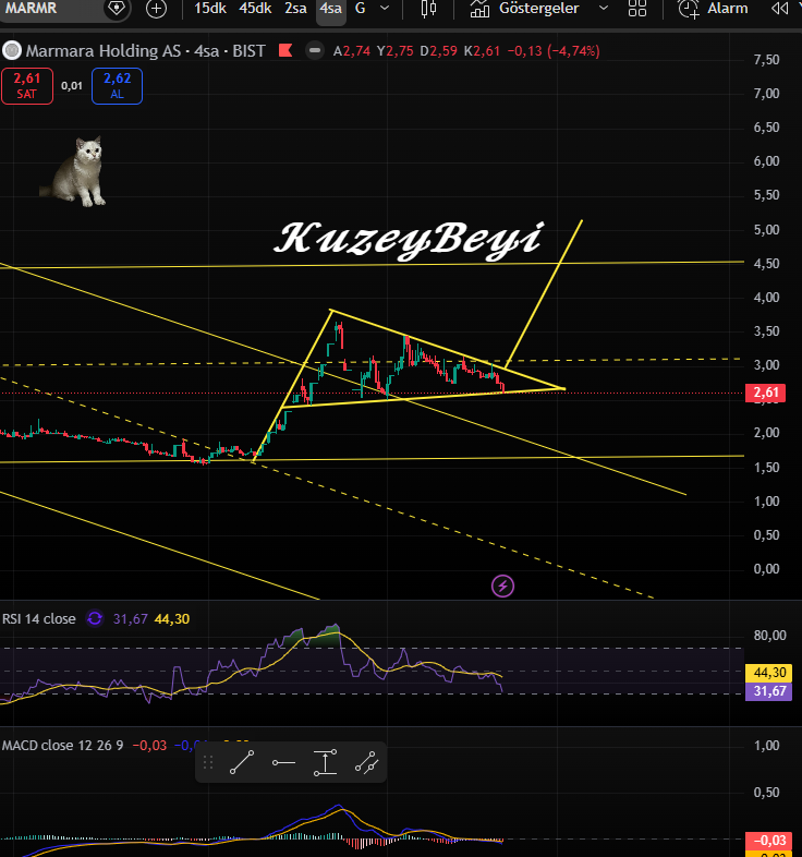 𝑲𝒖𝒛𝒆𝒚𝒃𝒆𝒚𝒊 tweet media