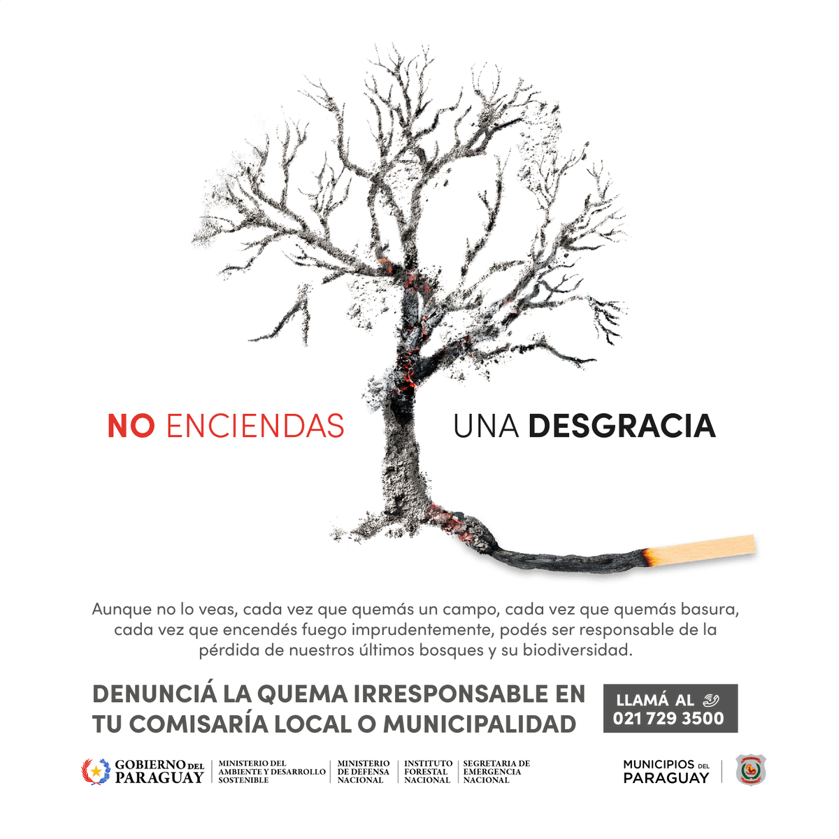 INCParaguay's tweet photo. 🔥🍃 Cada año, la quema irresponsable de bosques y basura deja sin hogar a miles de animales.

Protejamos la vida silvestre y nuestros ecosistemas.
No enciendas una desgracia.

🦝🌿 #AniRehaPy #NoQuemesPy #NoEnciendasUnaDesgracia https://t.co/Y46DYb7WSB