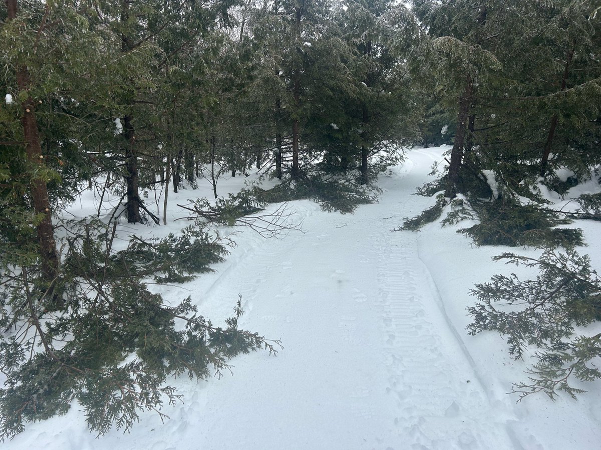 Larry Miller Retired tweet media