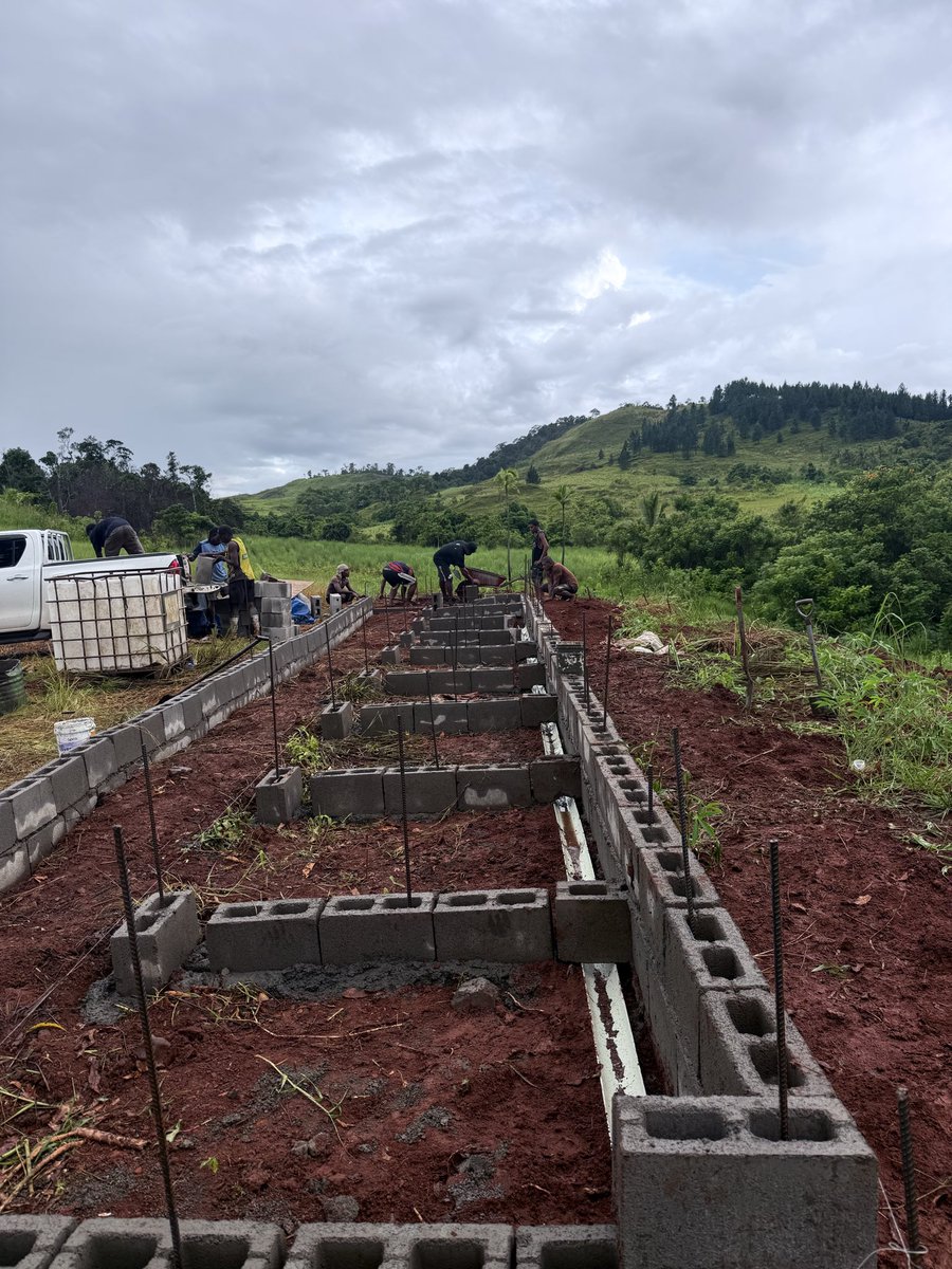 thefarmer___'s tweet photo. Piggery Farm Project ⏳
#farmer #hustler #farmboy #pigfarm #farmproject https://t.co/xdohCwPwec