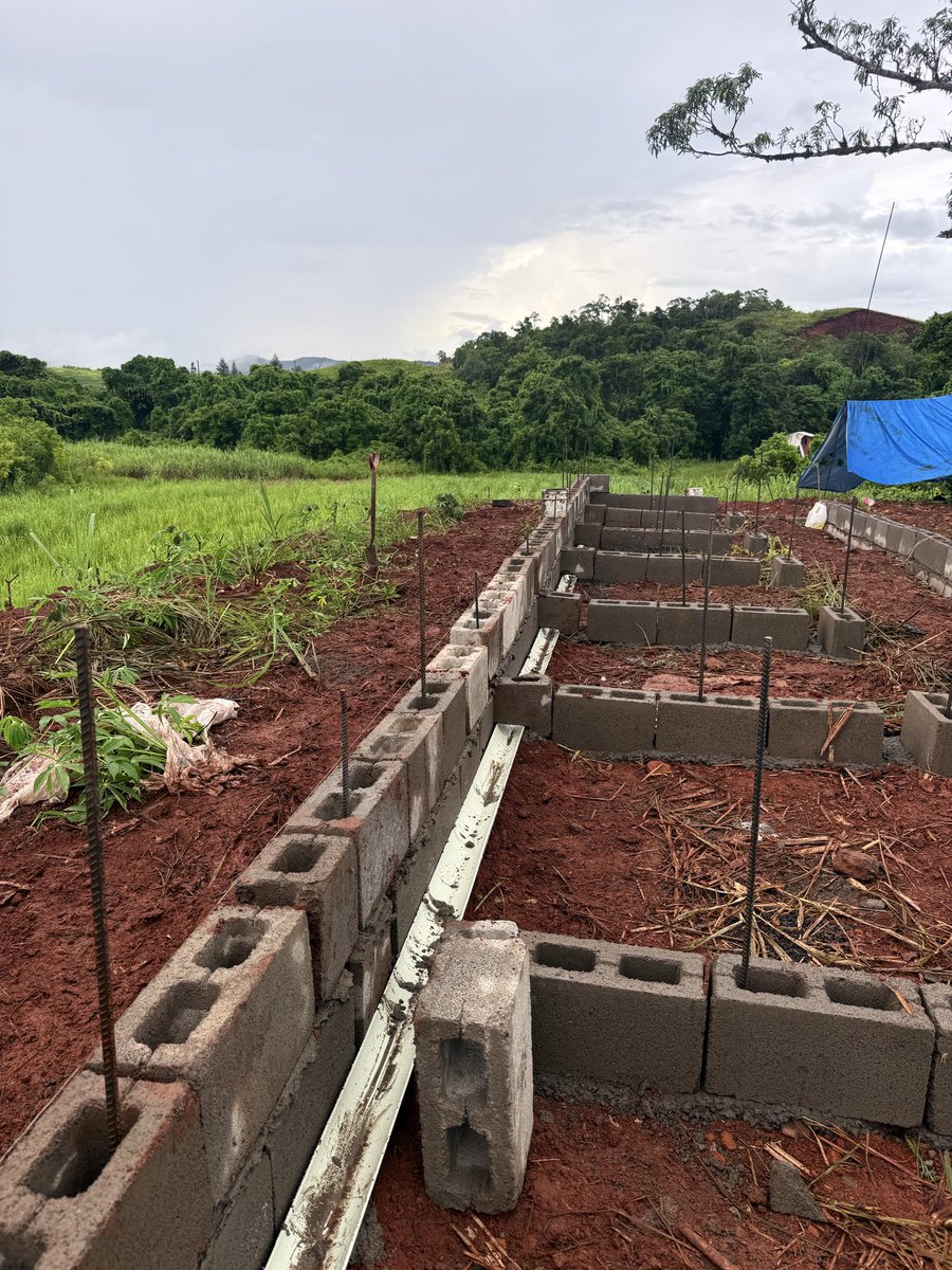 thefarmer___'s tweet photo. Piggery Farm Project ⏳
#farmer #hustler #farmboy #pigfarm #farmproject https://t.co/xdohCwPwec