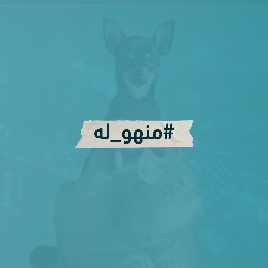 90f399's tweet photo. #منهو_له https://t.co/nirOlm1VLa