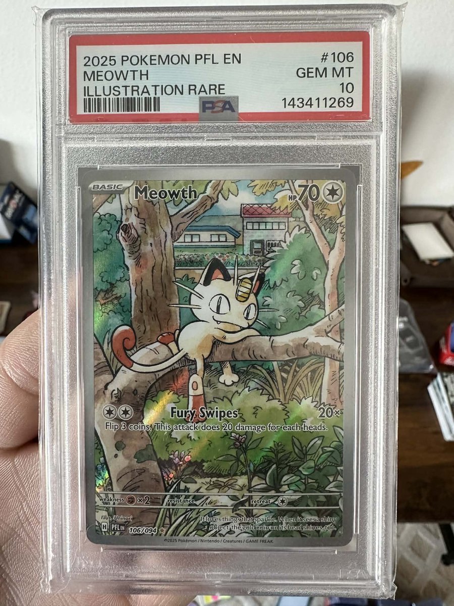 TCGandThangs tweet media