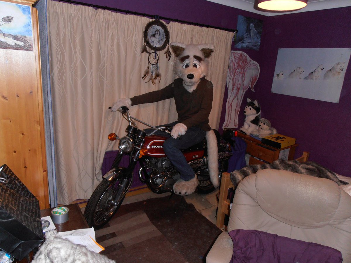 russelbuck 🐶 🎶 is making new SONGS tweet media