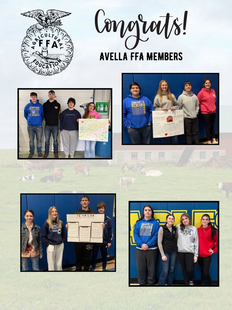 Avella Area School District tweet media