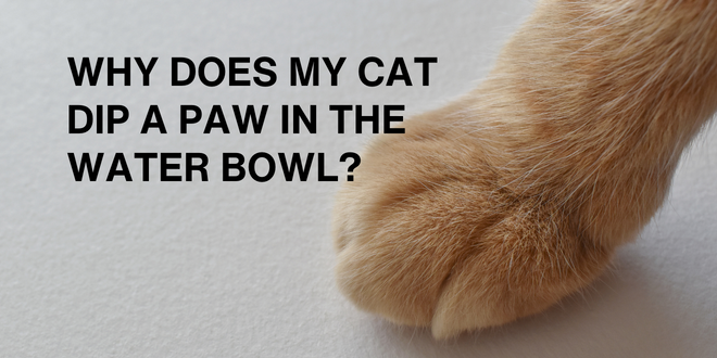 Pam Johnson-Bennett tweet media