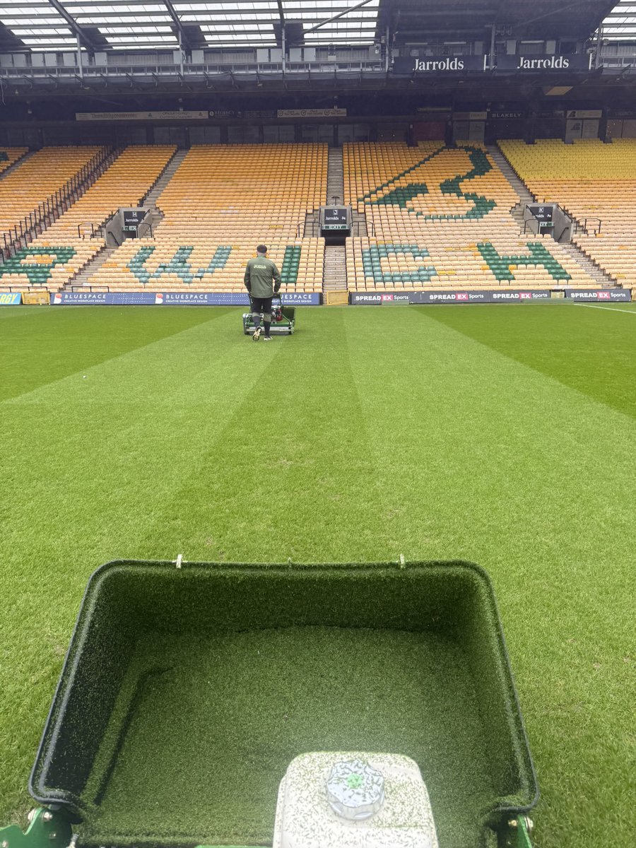 Robert Palmer tweet media