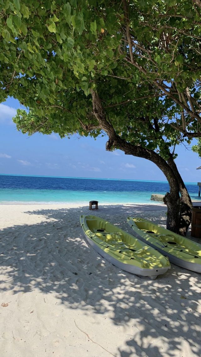 "La elocuencia es una pintura de las palabras." 

Blaise Pascal.