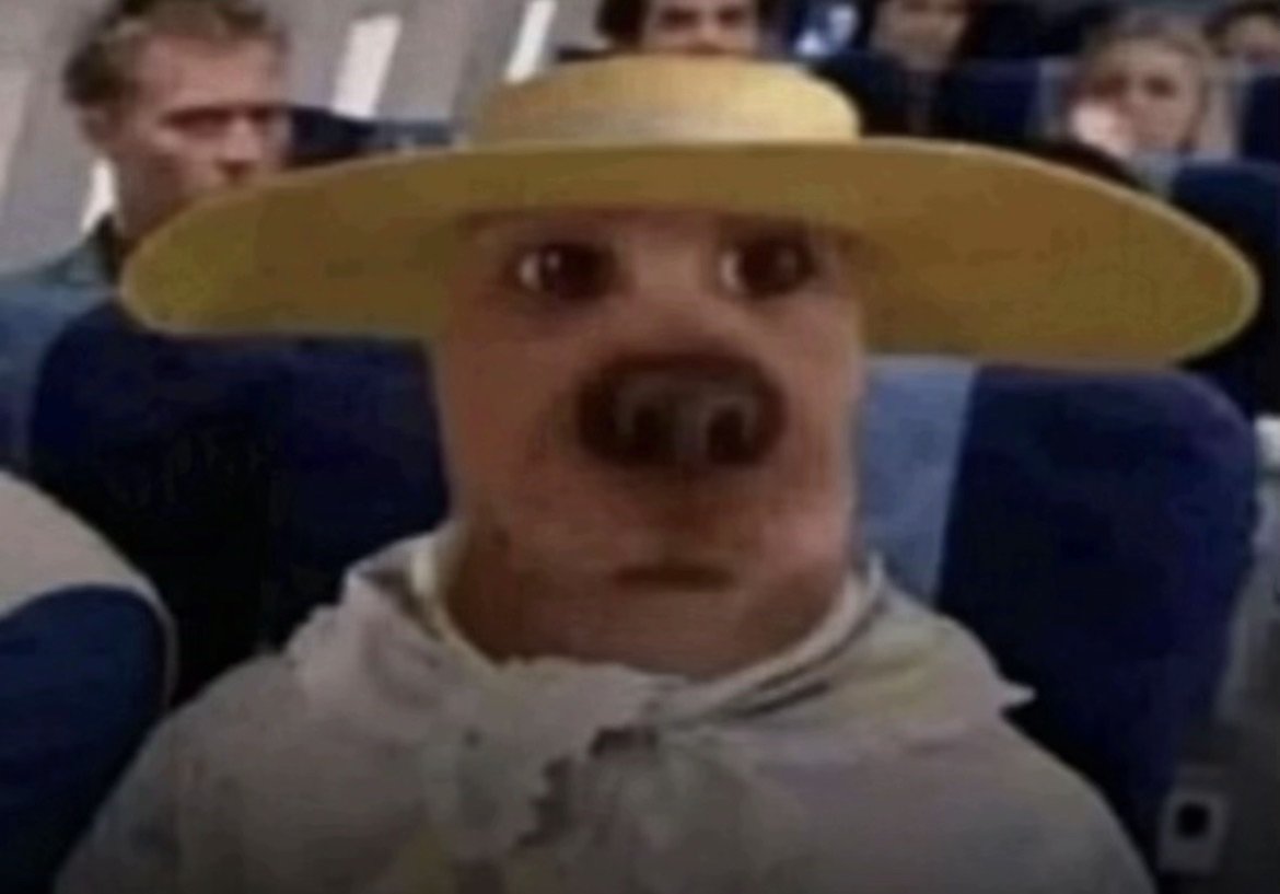 Konsulat Izraela w Jaśle tweet media